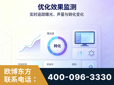 南宫-优化效果监测